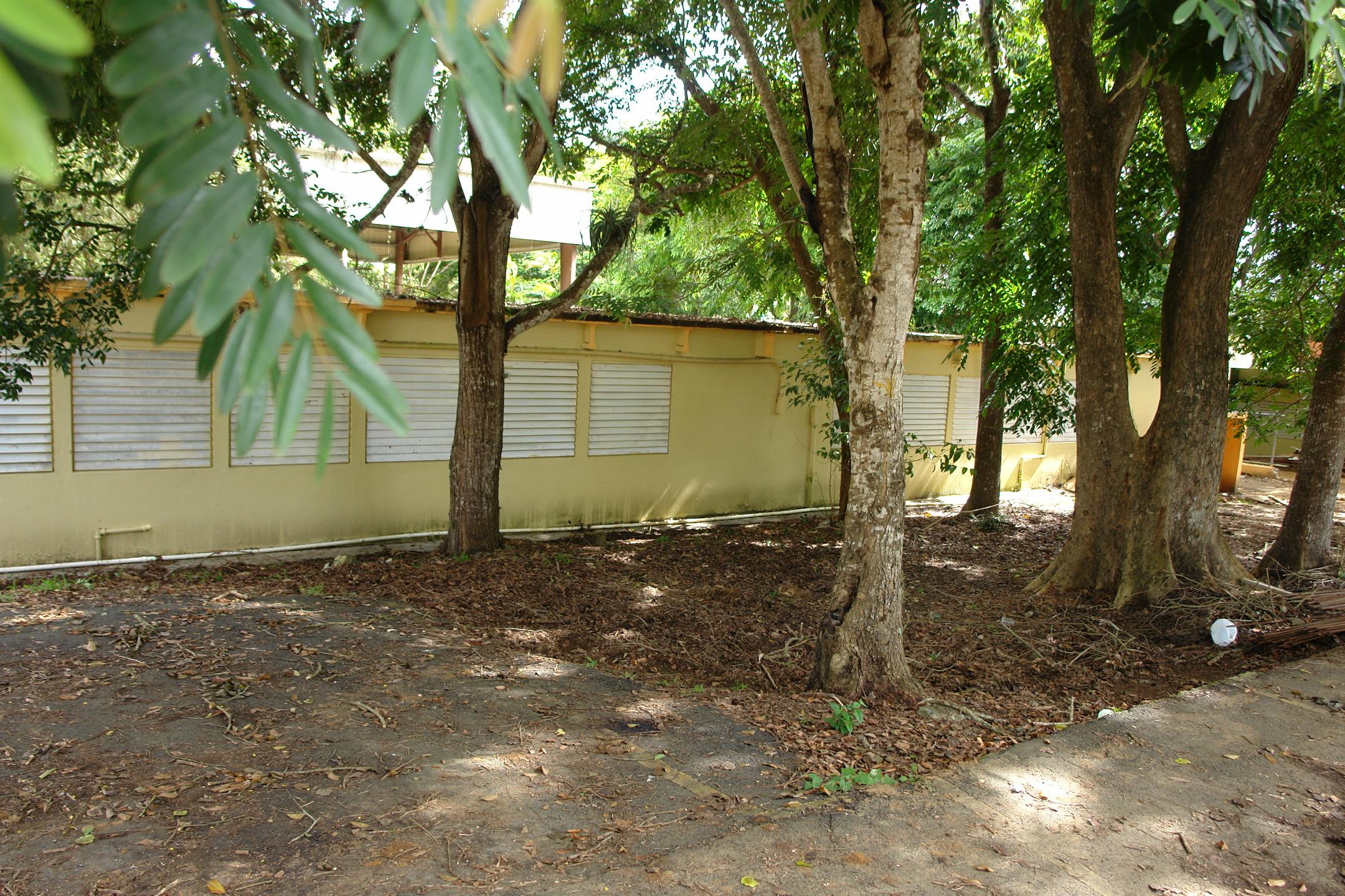 FDII - Aibonito - 2010 00006